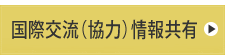 国際交流（協力）情報共有